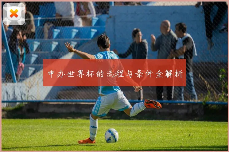 申办世界杯的流程与条件全解析
