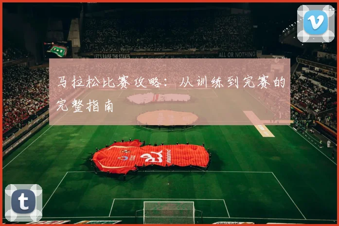 马拉松比赛攻略:从训练到完赛的完整指南